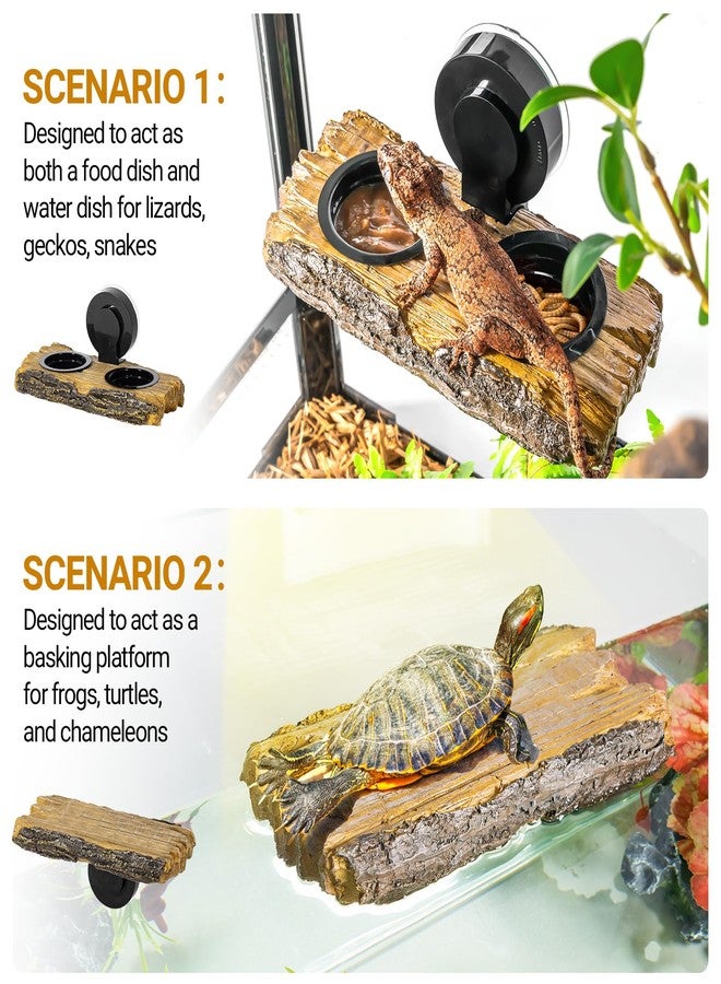 CAVACHEW 2 in 1 Reptile Feeding Ledge & Turtle Basking Platform, Resin Suction Cup Feeder with 4PCS Cups, Terrarium Water Bowl Food Dish - Tank Accessories for Crested Gecko Lizards & Aquatic Turtles - Image 2